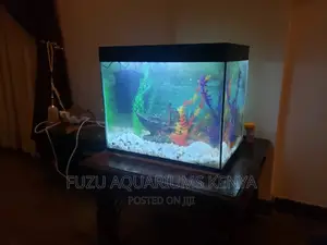 Aquarium Complete Set Up