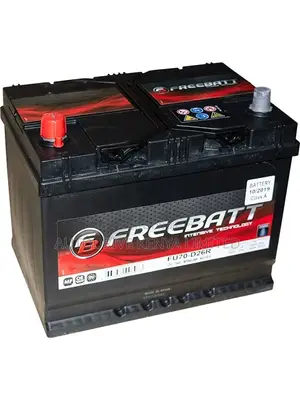 NS70R Freebatt Battery