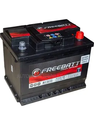 DIN55 Freebatt