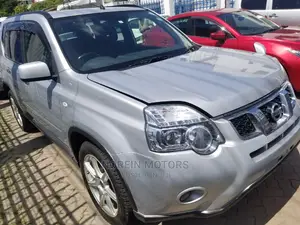 Nissan X-Trail SV Premium 2014 Silver