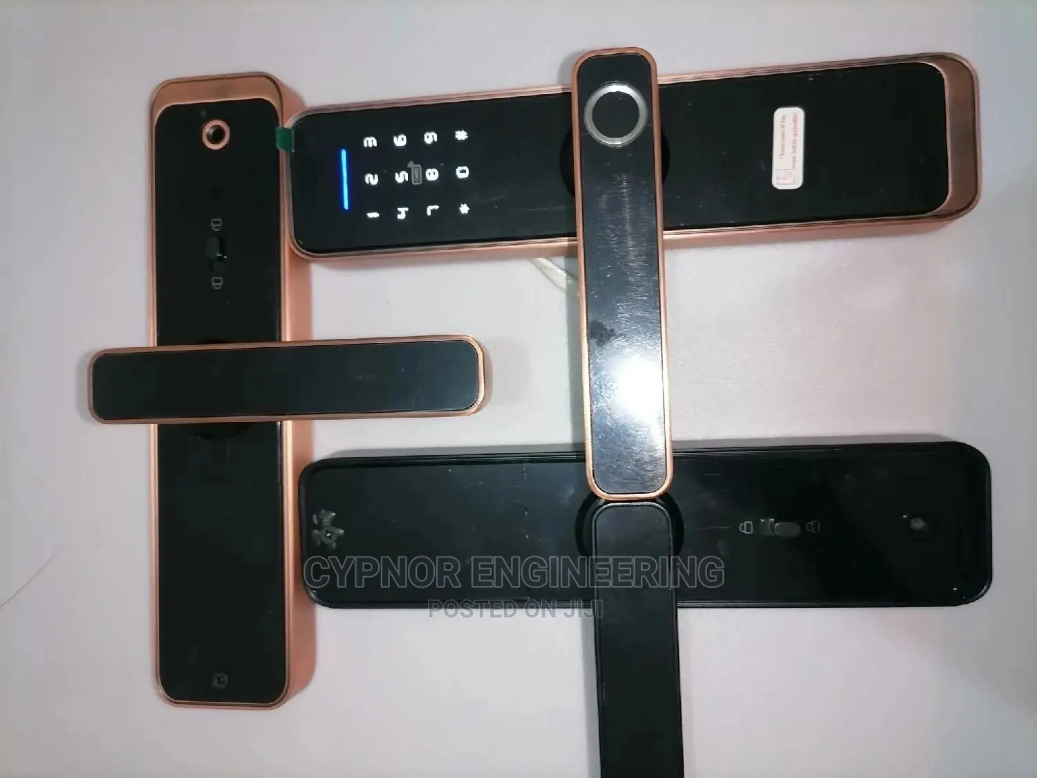 Biometric Smart Lock for Stores