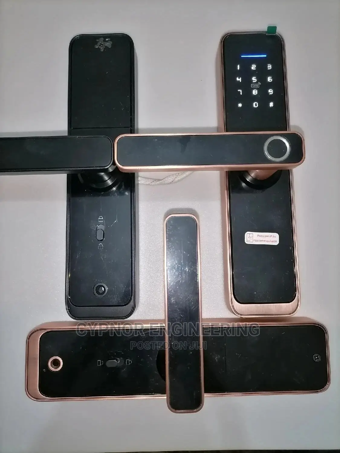 Biometric Smart Lock for Homes