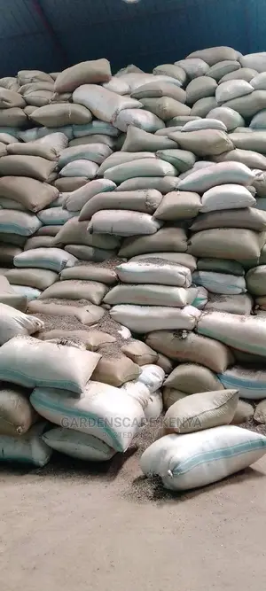 Oil Extraction Sunflower Seeds Per Ton.