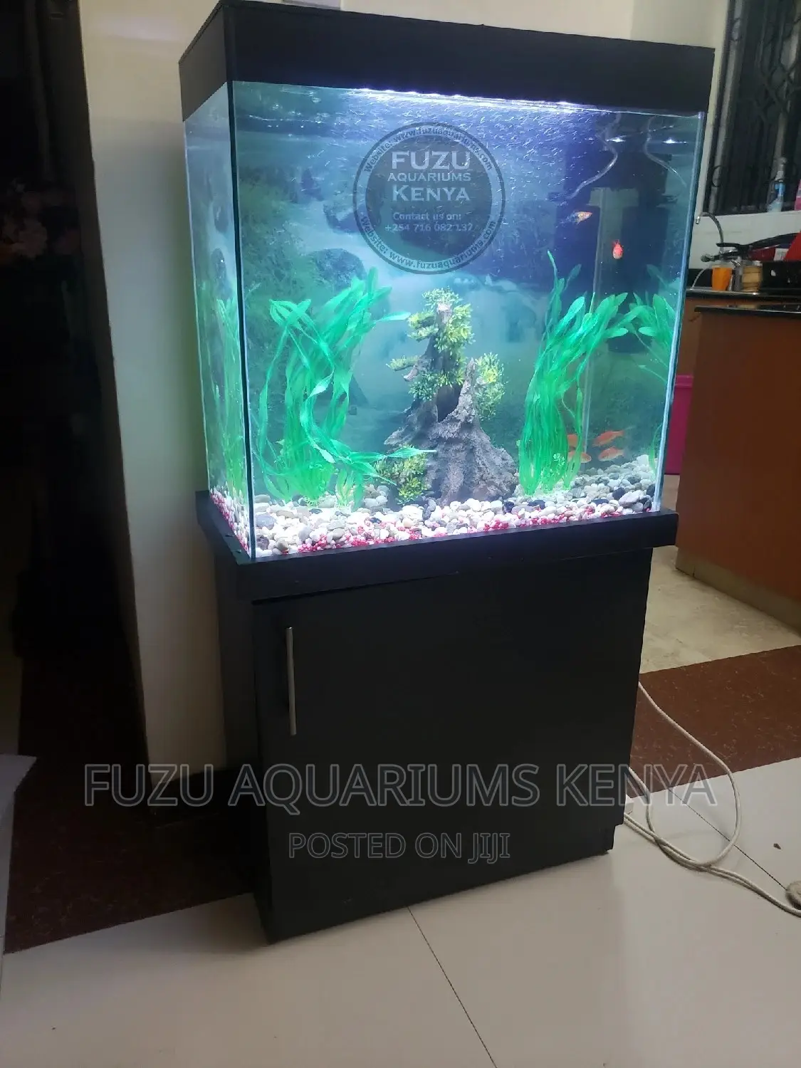 Aquarium - Black Color