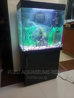 Aquarium - Black Color