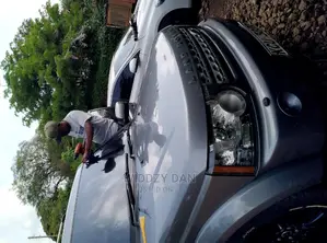 Windscreen Tint