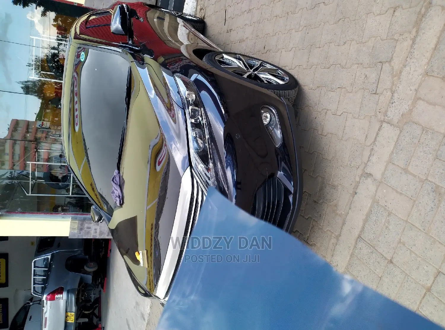 Windscreen Tint