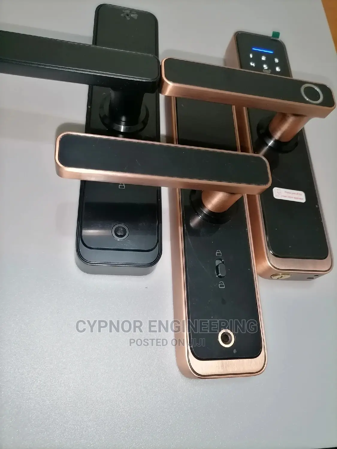 Airbnb Biometric Control Locks