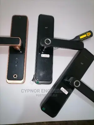Fingerprint and Card Smart Locks for Hotel
