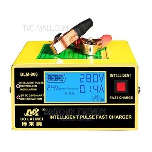 BLM-866 12v/24v Car Battery Charger Automotive Maintainer .