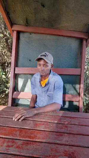 Hire Tour Driver