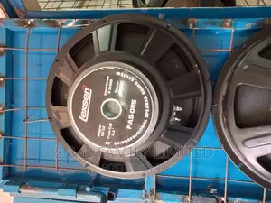 Lexsen 15 Inch Naked Speaker