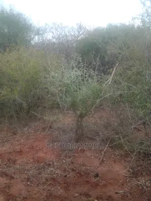 20 Acres for Sale