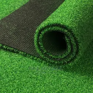 Artificial Grass Carpet