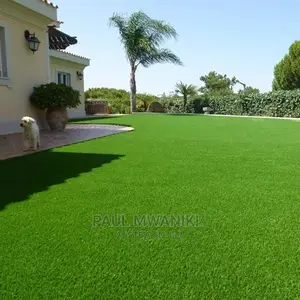Artificial Grass Suppliers in Kenya.