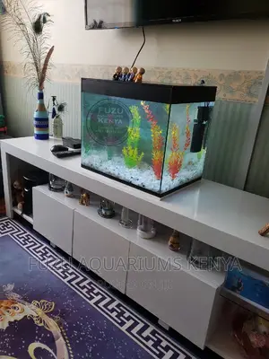 Aquariums Mid Sized
