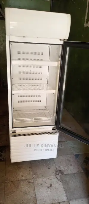 Display Fridge 300L