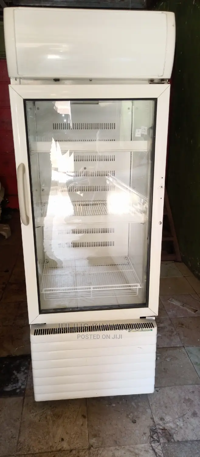 Display Fridge 300L