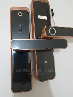 Kitchen Fingerprints and Cards Smart Door Locks