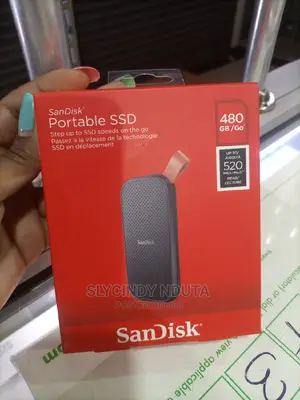 Sandisk Portable Ssd
