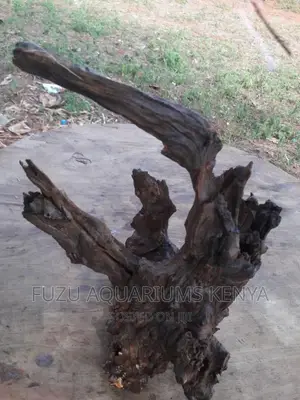 Driftwood Aquarium (Original)