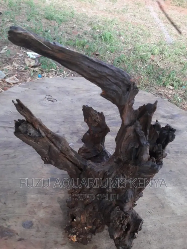 Driftwood Aquarium (Original)