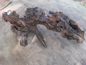 Driftwood Aquarium (Original)