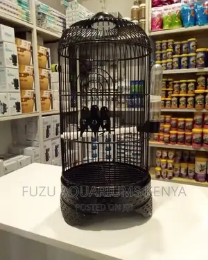 Bird Cage .