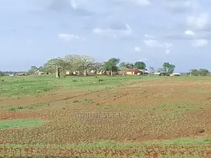 Mavueni Plots for Sell Near Ezekiel Church