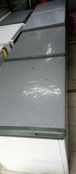 Double Door Freezer
