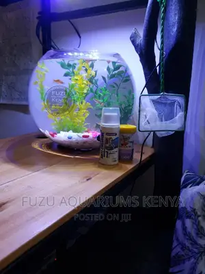 Fishbowls Fish Bowl