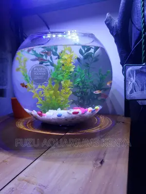 Fishbowls Fish Bowl