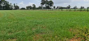 1 Acre Land for Sale in Merewet Ziwa Road in Eldoret