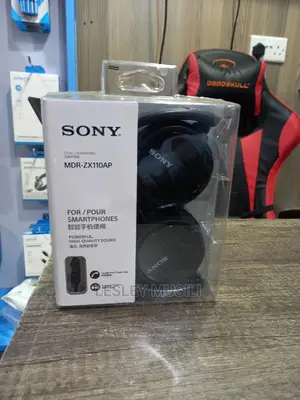Sony MDR Zx110ap Headphones