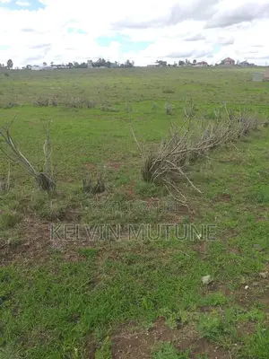 Plot For Sale