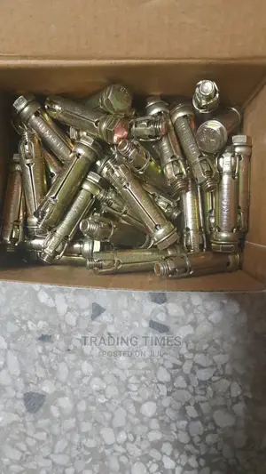 Rawl Bolt (M8)