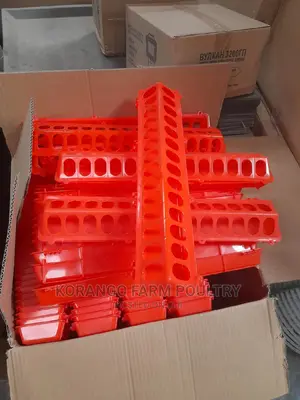 Feeders Chicks