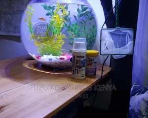 Fish Bowl Aquarium
