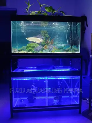 Aquarium Light