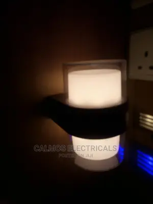 LED Outdoor Wall Light