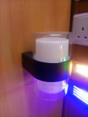 LED Outdoor Wall Light