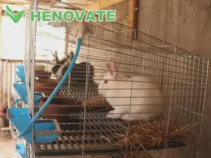 Rabbit Cages