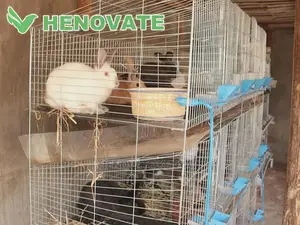 Rabbit Cages