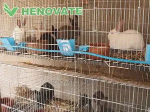 Rabbit Cages