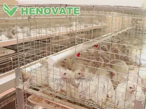 IMPROVED KIENYEJI/Broiler Cage