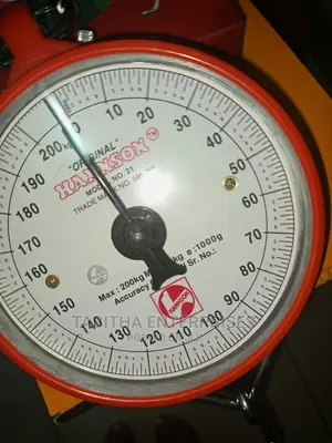 Hanson Hanging Scale