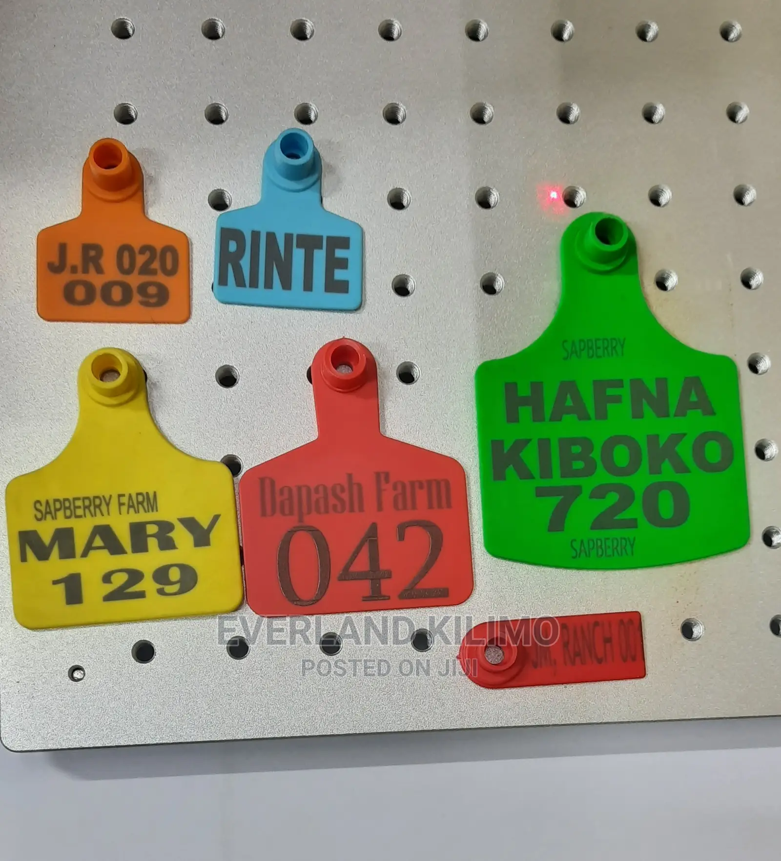 Laser Custom Printed Customized Ear Tags