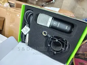 Element EM91C Condenser Microphone