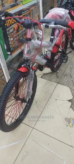Bike Size 20 for Boys and Girls