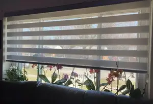 White Zebra Window Blinds